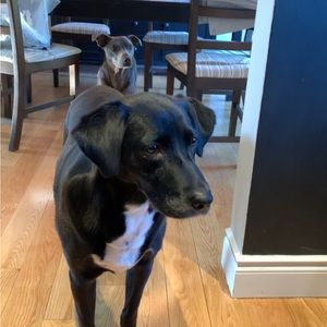 Meet your Posher, Tyra